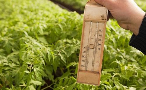 Для теплицы терморегулятор. Схема терморегулятора для теплицы из поликарбоната 05 Для теплицы терморегулятор. Схема терморегулятора для теплицы из поликарбоната 05