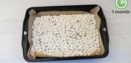 Как высушить тыквенные семечки в духовке. Правильна подготовка семян к сушке 03