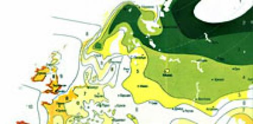 Овощные культуры капуста цветная. Полезные свойства капусты 05