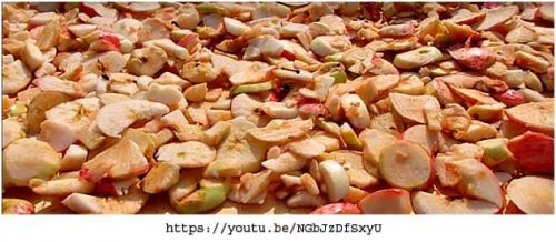 Как сушить яблоки в домашних условиях на солнце. Способы сушить яблоки в домашних условиях без духовки на солнце