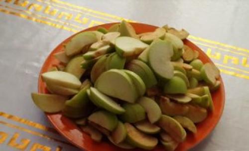 Как сушить яблоки над газовой плитой. Как сушить яблоки в электросушилке