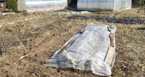 Хранение моркови в земле. Как хранить морковь в земле до весны