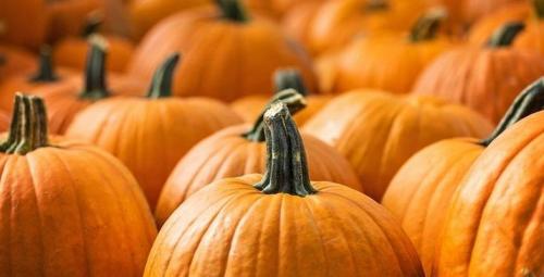 Можно ли есть прошлогоднюю тыкву. Кому нужно есть тыкву, а кому к ней даже подходить нельзя