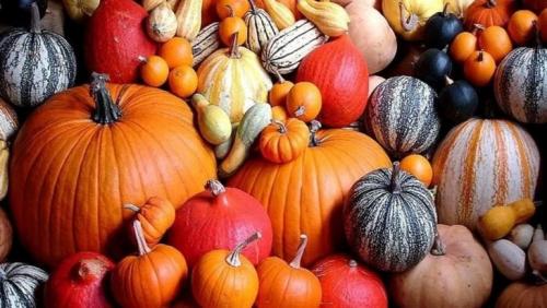 Можно ли есть прошлогоднюю тыкву. Кому нужно есть тыкву, а кому к ней даже подходить нельзя