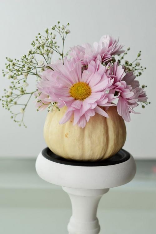 Как сохранить декоративную тыкву. Как высушить и сделать твердыми декоративные тыквы 04