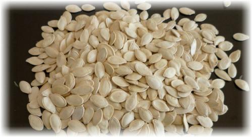 Как высушить тыкву солью. Как можно сушить тыквенные семечки: несколько простых способов