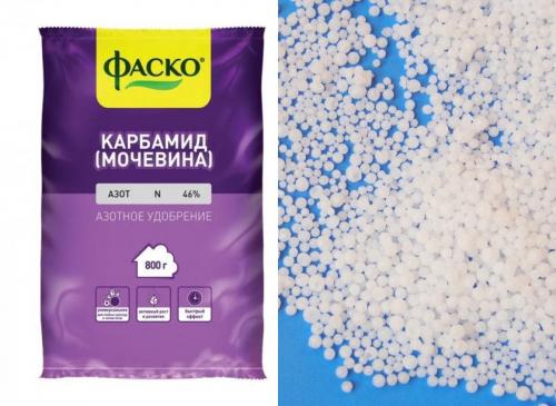 Обработка персика летом. Чем и как правильно обрабатывать деревья?