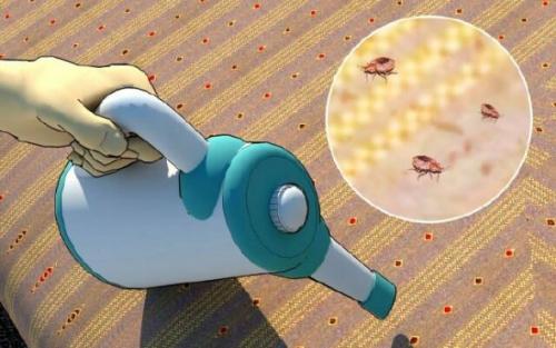 Как избавиться от клопов в диване. Клоповьи страсти: насекомые в диване