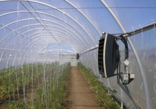 Для теплицы терморегулятор. Схема терморегулятора для теплицы из поликарбоната 04 Для теплицы терморегулятор. Схема терморегулятора для теплицы из поликарбоната 04