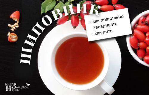 Как хранить отвар шиповника. Как заваривать шиповник, чтобы сохранить в нем все витамины