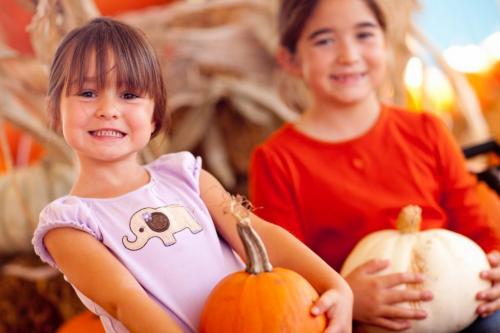 Тыква сколько хранится. Какие сорта подходят для хранения? 10 Тыква сколько хранится. Какие сорта подходят для хранения? 10