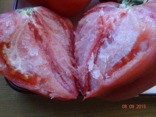 Малиновое чудо томат описание. Крупноплодные розовые томаты 07 Малиновое чудо томат описание. Крупноплодные розовые томаты 07