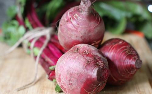 Лечение свеклой в народной медицине. Полезные свойства свеклы