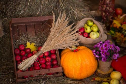 Тыква сколько хранится. Какие сорта подходят для хранения? 13 Тыква сколько хранится. Какие сорта подходят для хранения? 13