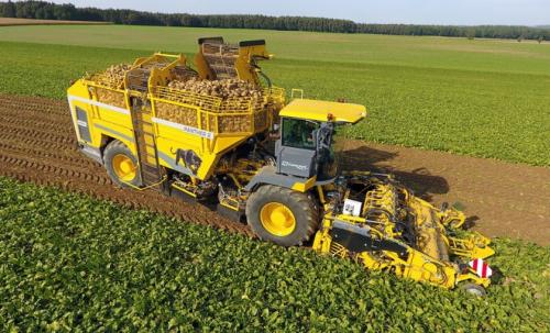 Уборка свеклы комбайном. Характеристики свеклоуборочных комбайнов Wik, Holmer, Agrifac, Кляйн, Ропа, Гомсельмаш