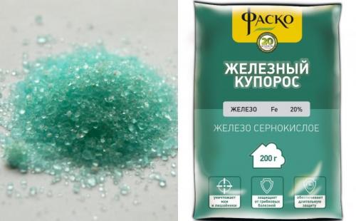 Обработка персика летом. Чем и как правильно обрабатывать деревья?