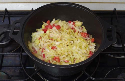 Тушеная пекинская капуста с кабачком. Как приготовить рагу из капусты и кабачков — рецепт постного овощного рагу с кабачками и капустой с пошаговыми фото