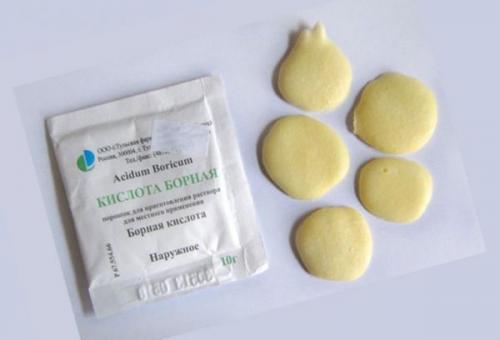 Почему тараканы лезут на потолок. Как предотвратить появление тараканов