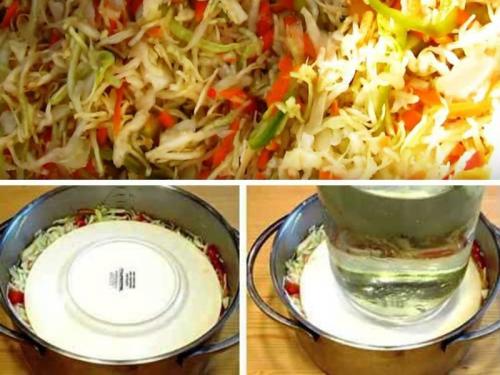 Квашеная капуста с яблоками на зиму. Хрустящая квашеная капуста с яблоками 13 Квашеная капуста с яблоками на зиму. Хрустящая квашеная капуста с яблоками 13