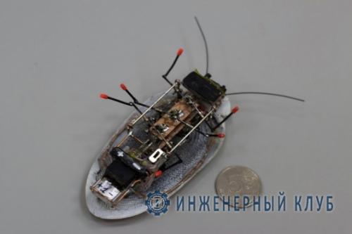 Таракан разведчик. Российский робот-разведчик в виде таракана