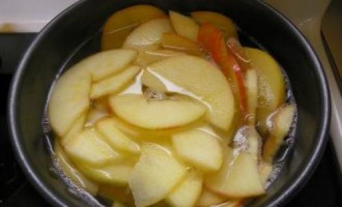 Как сушить яблоки над газовой плитой. Как сушить яблоки в электросушилке