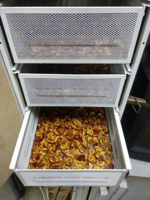 Сушка яблок в сушилке изидри. Делаем сушилку для спасения урожая