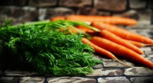 Хранение моркови на зиму в пакетах в погребе. Как правильно: выбор пакетов и подготовка овощей