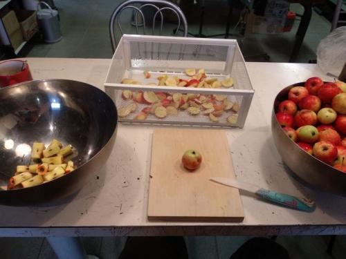 Сушка яблок в сушилке изидри. Делаем сушилку для спасения урожая