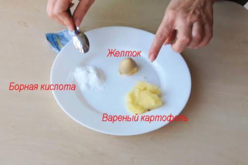 Средство от тараканов с борной кислотой. Рецепты