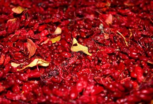 Как посушить яблоки в духовке газовой плиты. Как подготовить плоды к сушке 04