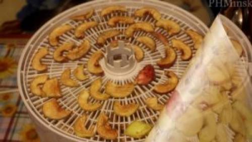 Рецепты сушки фруктов в электросушилке. Как сушить фрукты в сушилке