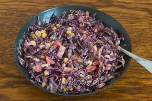 Салат с красной капусты с майонезом. Салат из краснокочанной капусты с майонезом 02 Салат с красной капусты с майонезом. Салат из краснокочанной капусты с майонезом 02