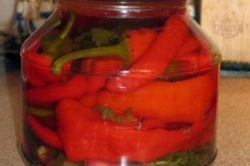 Острый перец на зиму. Острый красный перец на зиму простой рецепт