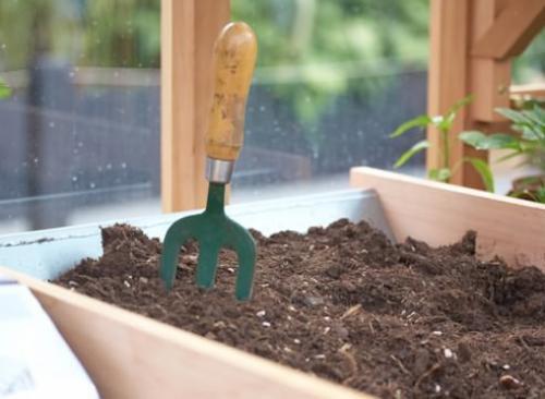 Вырастить огурцы и помидоры на балконе. Как вырастить огурцы на балконе