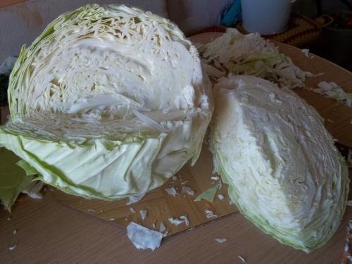 Когда рубить капусту на зиму по лунному календарю в 2019 году. Когда я буду солить капусту в 2019 году. Благоприятные дни. Рецепты