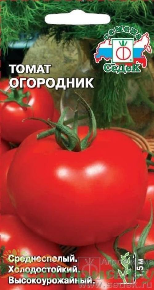Сорта томатов для теплицы устойчивые к фитофторе. Лучшие сорта помидор для теплиц устойчивые к фитофторозу