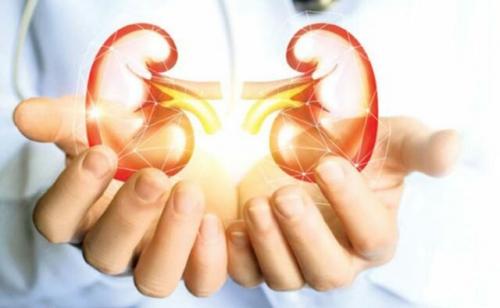 Как принимать натощак чеснок. что будет, если каждый день пить стакан чесночной воды