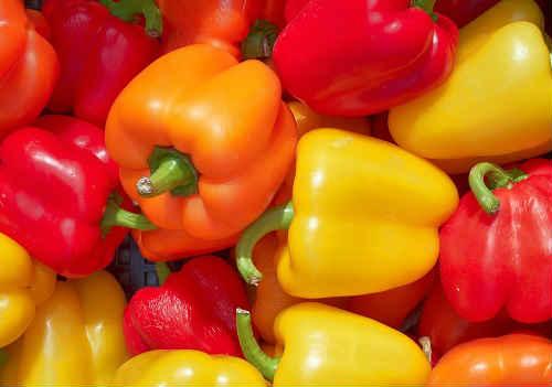 Как заготовить перец на зиму для фаршировки. Заготовка перца на зиму для фарширования — проверенные рецепты