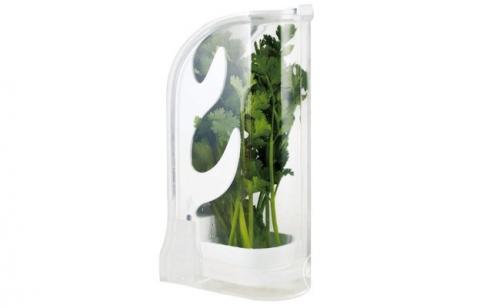 Заготовка базилика на зиму в домашних условиях. Как сохранить базилик на зиму в домашних условиях