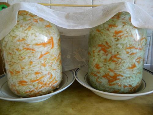 Когда рубить капусту на зиму по лунному календарю в 2019 году. Когда я буду солить капусту в 2019 году. Благоприятные дни. Рецепты