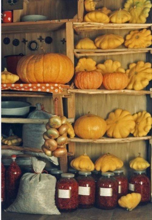 Как сохранить тыкву на зиму в квартире. Как сохранить тыкву до весны