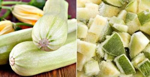 Можно ли хранить кабачки в погребе. Заморозка: отличная альтернатива