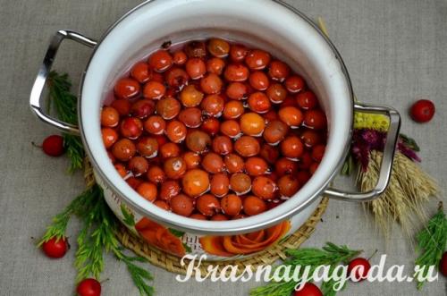 Варенье из боярышника. Рецепт варенья из боярышника с косточками