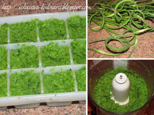 Можно ли заморозить стрелки чеснока.