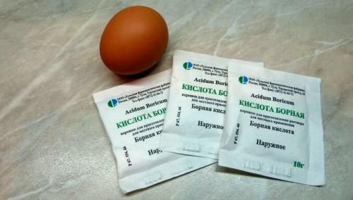 Спиртовой раствор борной кислоты от тараканов. Рецепты ядов от тараканов с борной кислотой