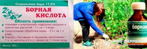 Борная кислота от чего помогает. Борная кислота