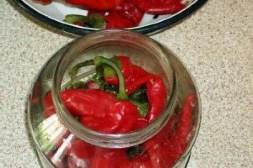 Острый перец на зиму. Острый красный перец на зиму простой рецепт