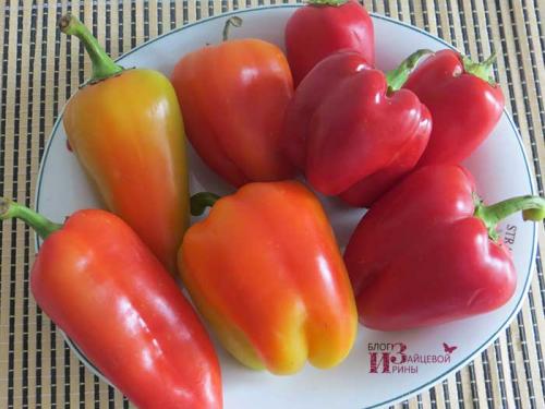 Заморозка перцев без начинки. Как правильно заморозить болгарский перец на зиму кусочками в домашних условиях?