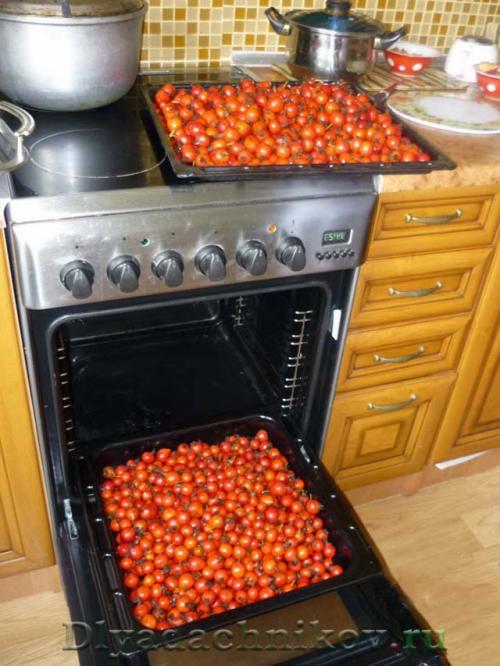 Сушка ягод в духовке с конвекцией. Способы сушки шиповника на зиму