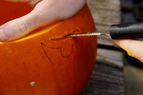 Поделки из тыквы на Хэллоуин. Тыква на Хэллоуин